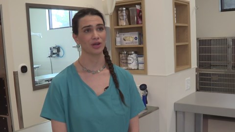 CSI Vet Tech Program is looking to fill the gap