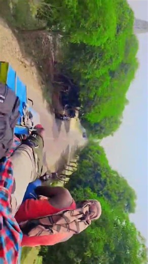 Nali Topi Bala (From "Suhaga Sindura") #love #viral #song #odishajajpur #popularsong #viralsong #dj