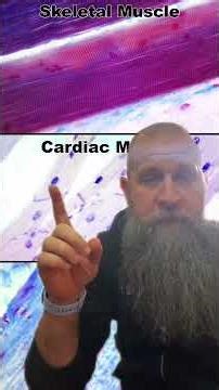 Types of muscle tissue! #anatomy #science #stem #biology