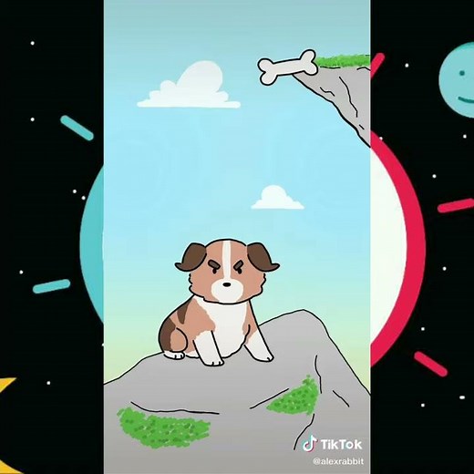 Alex rabbit | Cute doggo from TikTok @alexrabbit