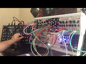 Cathedral Redwoods | Eurorack + Peak