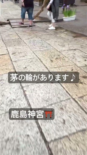 鹿島神宮 #桜井識子さん #東国三社詣#旅行 #神社仏閣パワースポット