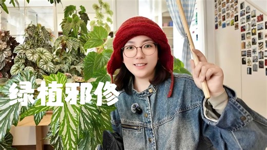 44㎡loft | 教新手！不花冤枉钱！选绿植！