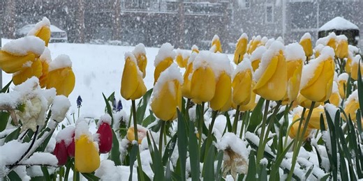 7 scenes of spring snow as storm tracks across northern US