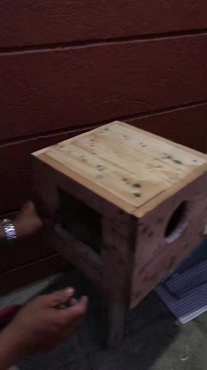 DIY nest box lang po kami☺️ #birdqueen #cockatiel #nestbox