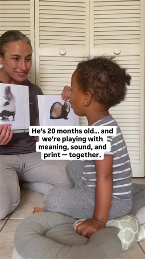 Understanding Early Language Development in Toddlers