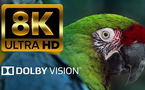 【8K超高清】 120fps HDR 完美色彩