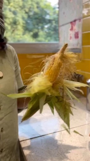 Shreya Goel on Instagram: "🌽✨ CORN SILK – Your Natural Kidney Cleanser! 🌿💧 Did you know? The silky threads you see on corn 🌽 aren’t waste — they are powerful natural medicine! Corn silk has been used in traditional remedies for centuries, and here’s why you should try it ⬇️ ✅ Top Health Benefits: 💦 Helps flush out toxins from the body 🚻 Supports urinary tract health & fights UTI 🪨 Aids in preventing & reducing kidney stones 🫀 Helps control blood pressure 🩸 May help regulate blood sugar 