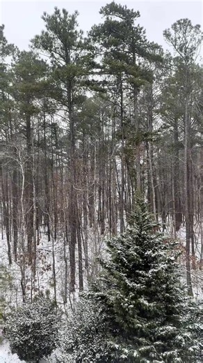 Adriana Lately • Atlanta Blogger | Travel Creator | snow day in georgia ❄️✨ #snowday #atlantasnow #georgiasnow #snowstorm | Instagram