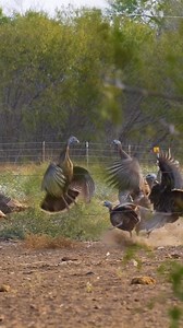 When two groups of women come together. Ya know the rest. | Tim Wells Relentless Pursuit