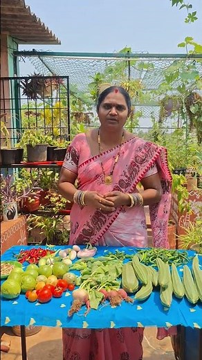 వీడియోస్ ఎందుకు రావట్లేదు అంటే ? #harvesting #vegetables #gardening