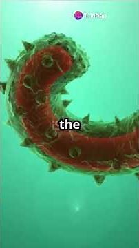 “Ribosomes: The Molecular Machines of Protein Synthesis”