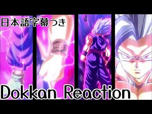 ドッカンバトル LR 悟飯ビースト 9周年 第2弾 リアクション Dokkan LR Gohan BEAST 9th Part2 Reaction