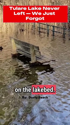 #Shorts | Tulare Lake Returns: Floods, Prisons, and Forgotten History