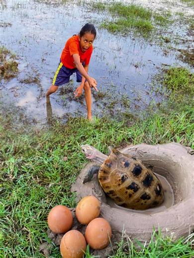 The guy show AMAZING Smart and Useful in Forest #bushcraft #survival #Outdoors #skills