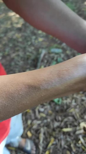 #fypシ゚viral #tapitira'y #viral#paragauy🇵🇾