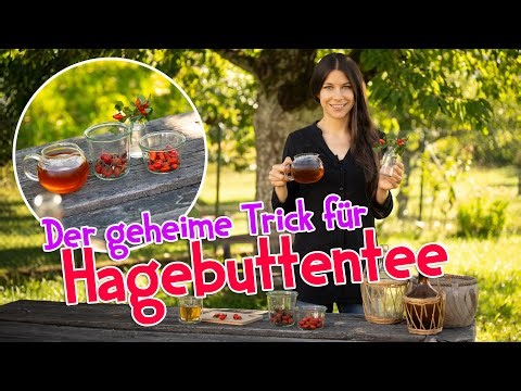 Hagebutten Tee selbstgemacht 🌹 Mit diesem geheimen Trick schmeckt er richtig lecker #hagebutten #tee