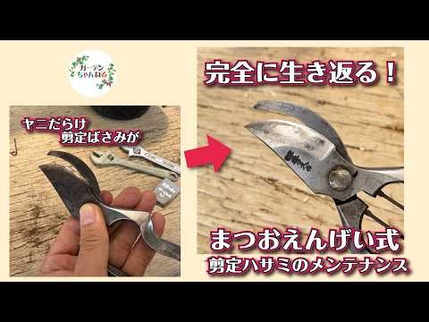 【剪定ハサミの研ぎ方解説】お手軽×しっかりの2パターン解説します！