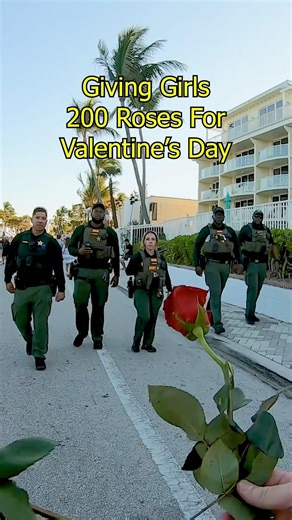 Giving Girls 200 Roses For Valentine’s Day 🌹