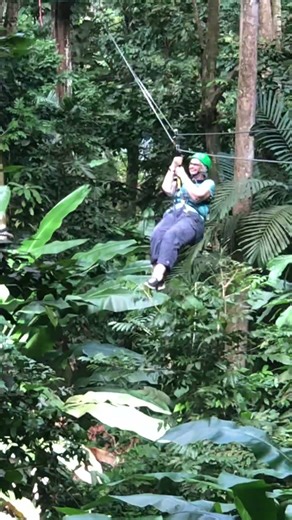 Zip lining in the jungle
