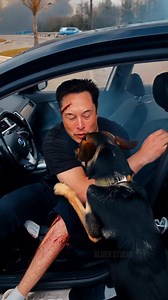 484K views · 15K reactions | This Dog Is The Real Reason Elon Musk Chose to Build the Tesla Empire This video was produced by Network Media and Blue-X Studio | The Imaginary Art Exhibit | Facebook