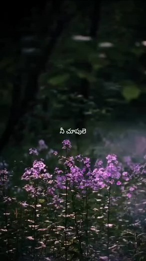 1.4K views · 2.7K reactions | 殺 #lovesongs❤️ #lovesongs #lovestatusvideos #newdaywithmusic #telugusongs #telugusongs #telugulyrical #lyricedits #telugulyrics #lyrics #lovebeats #lyrics #telugubgm #telugustatus #telugusongslyrics #telugulyricalsongs #gayam #jagapathibabu #revathi #melody #trendingsongs | Newday with Music | Facebook
