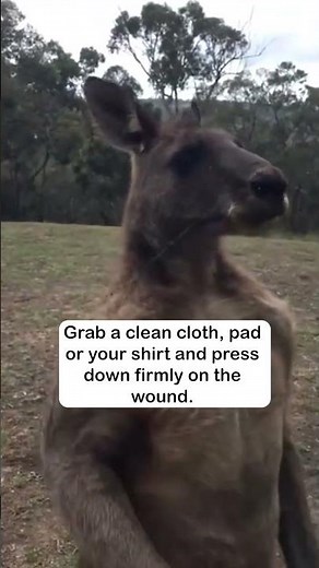 Kangaroo Attack - Stop the Bleed Fast