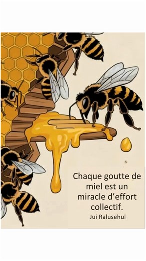 176K views · 5.6K reactions | Chaque goutte de miel est un miracle d’effort collectif. La miel naît du travail infatigable de milliers d’abeilles, chacune apportant sa part pour créer un trésor pur et nourrissant. Un rappel précieux que la coopération et la persévérance offrent toujours les fruits les plus doux. ✨ | Mamie Vert Jardin | Facebook