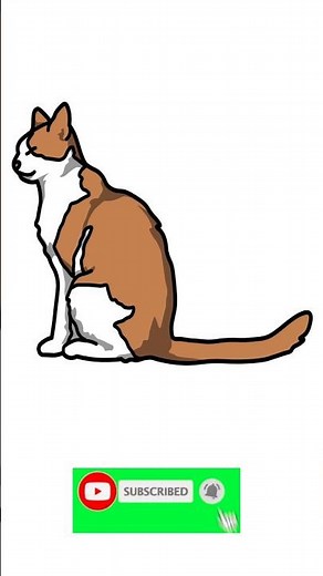 how to draw a cat step by step