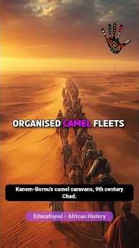 Kanem-Bornus camel caravans, 9th century Chad