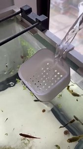 Aquarium Stable Water Change Diffuser. Water Change Diffuser for Fish Tank. Aquarium Safe Plastic. High Quality 3D Printed. Fast Shipping. - Etsy