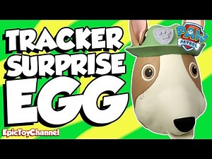 Paw Patrol Surprise Egg Tracker + Disney Cars PJ Masks Blaze & Paw Patrol Surprise Toys