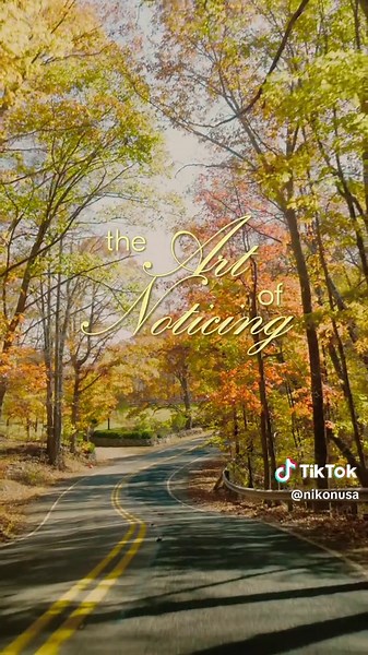 Capturing Fall Moments with Nikon Z f