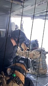 5.7K views · 126 reactions | #trainingtuesday with man's best friend...