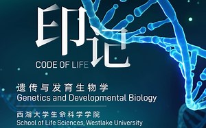 印记｜西湖大学生命科学学院遗传与发育生物学Program宣传片