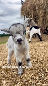 749K views · 29K reactions | 1 h après la naissance, première...