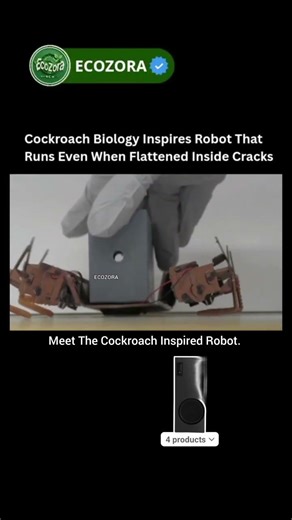 Cockroach Inspired Robot Crawls Through Impossible Cracks 🤯 #robotics #shorts