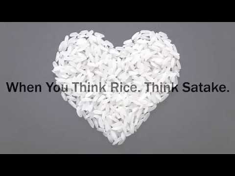 Satake Rice Milling and Processing Machines