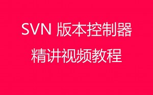 svn版本控制入门到精通