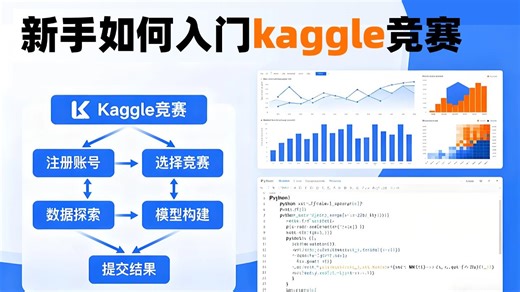 【从Kaggle小白到拿下第一块奖牌，我只看了这个教程！】流程拆解 赛题解析，这个视频全说透了！！！