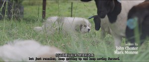 【1080p】大大的 Little Farm双语