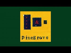 Pinegrove - Everything So Far (Full Album)