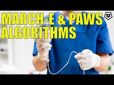 MARCH-E & PAWS Algorithms (Trauma Medicine Series, Episode 8)