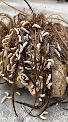 The La Ghost Appears at Night | Terrifying Horror Scene That Will Make You Anxious#Nightmare