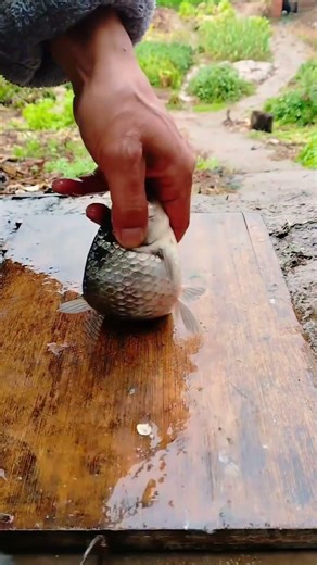 Pro Level Fish Prep: Lightning Fast Scaling 🐟