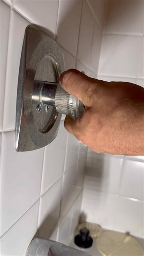 cartridge replacement made easy with the ona puller for moen cartridges _fix_000 | Lynette Varney