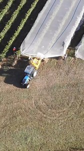 Vineyard netting in Yarra Valley, Australia #thewinearound #wine #vineyard #vineyardnetting #yarravalley | Thewine Around