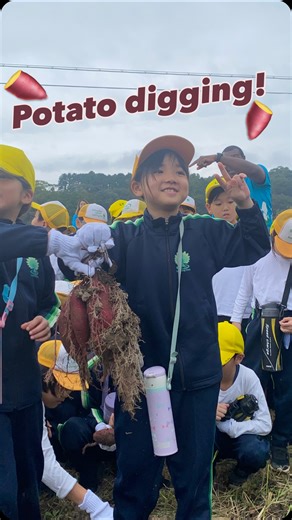 We went on a hike at our nature camp in Kamogawa. We met a local farmer who was growing sweet potatoes.He showed us how to dig up our own sweet potatoes. Then, we got to eat roasted sweet potatoes. # #camp #kamogawa #potetodigging #farmer #internationalschool #learningtree | Learning Tree International School Tokyo | Facebook