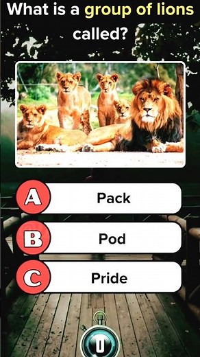 Animal Trivia Questions and Answers | Animal Quiz Questions & Answers #animalquiz #trivia #quiz