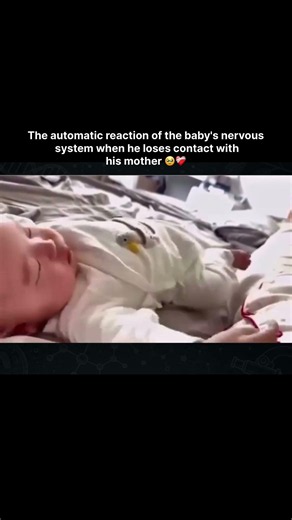 The automatic reaction of the baby's nervous system when he loses contact with his mother 🥹